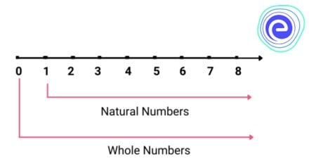 Natural and Whole Numbers