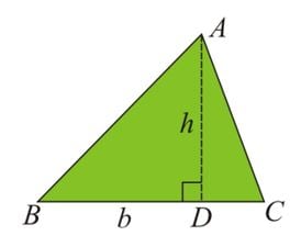 Triangle 19