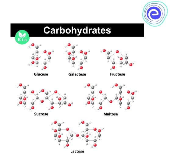 Carbonhydrates