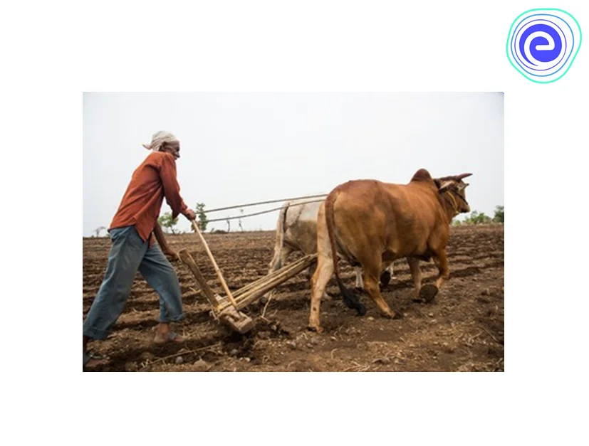 Ploughing