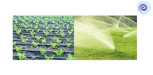 Drip and Sprinkler Irrigation