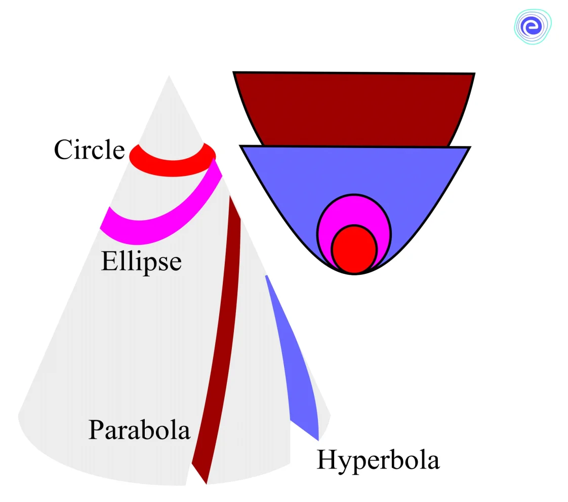 Different types of conic sections