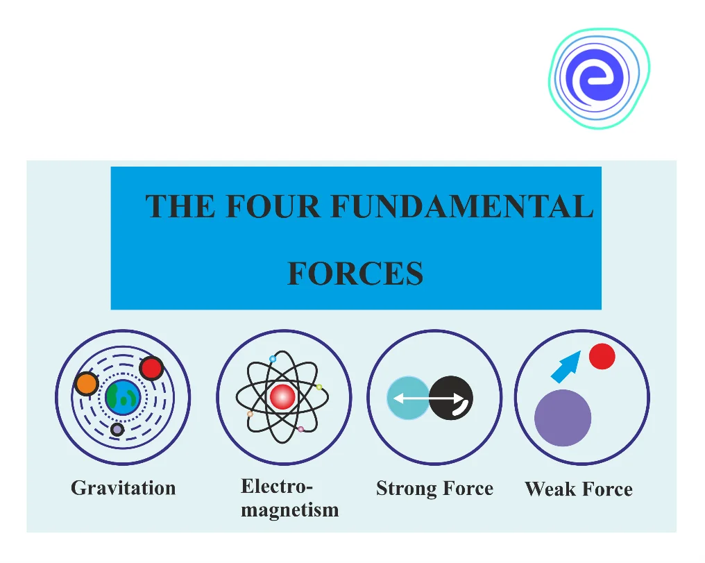 Fundamental Forces in Nature