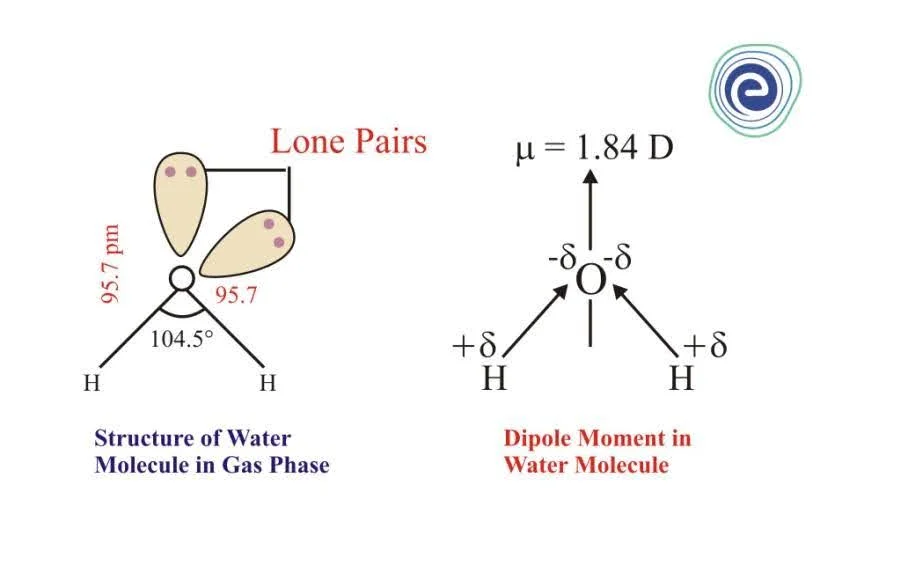 Partial Negative Charge and Dipole Moment