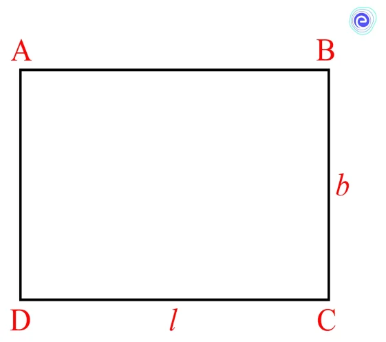 Perimeter of Rectangle