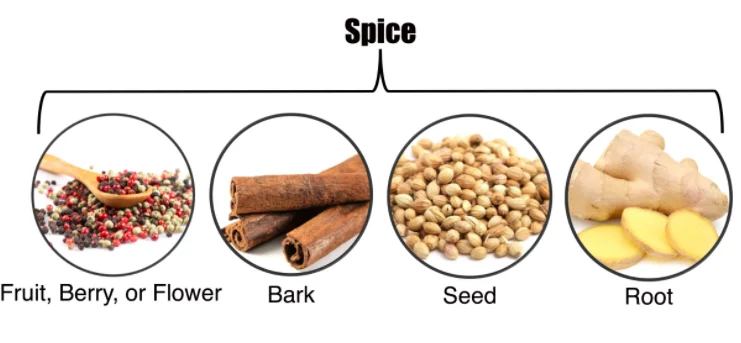 Spices Obtained from Bark, Seed, Flower and Root