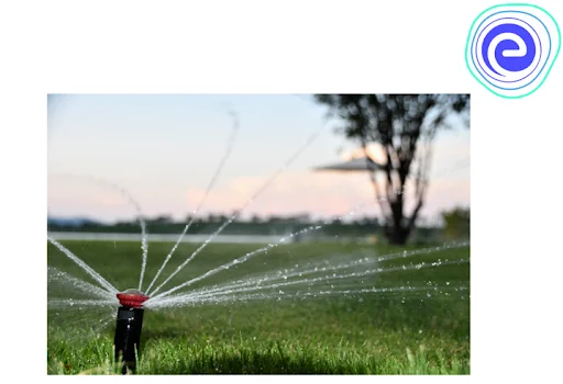 Sprinkler Irrigation