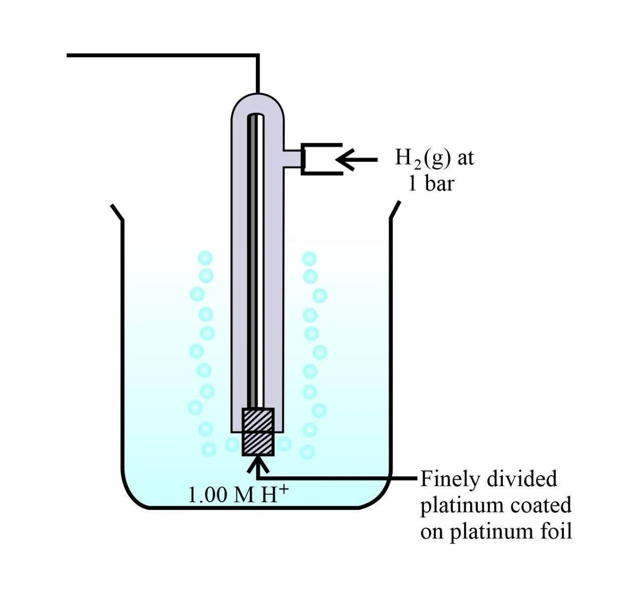 Standard Hydrogen Electrode