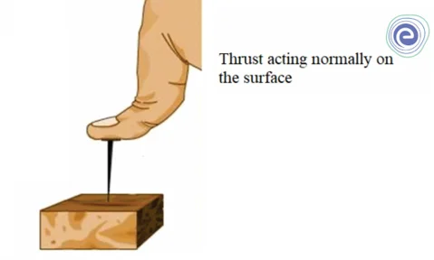 Thrust Examples