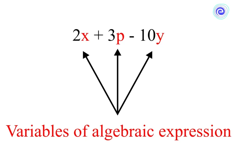 Variables of Algebraic Expressions