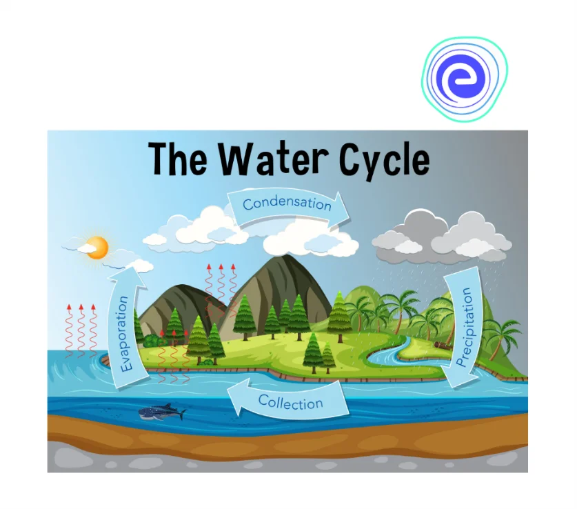 Water Cycle