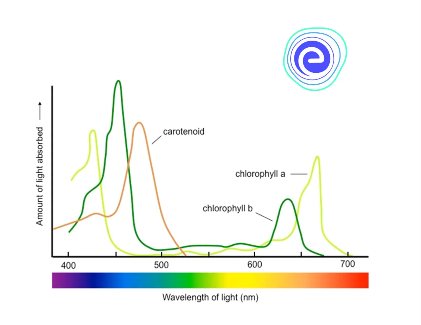 Absorption Spectrum of Chlorophyll a, b and Carotenoid