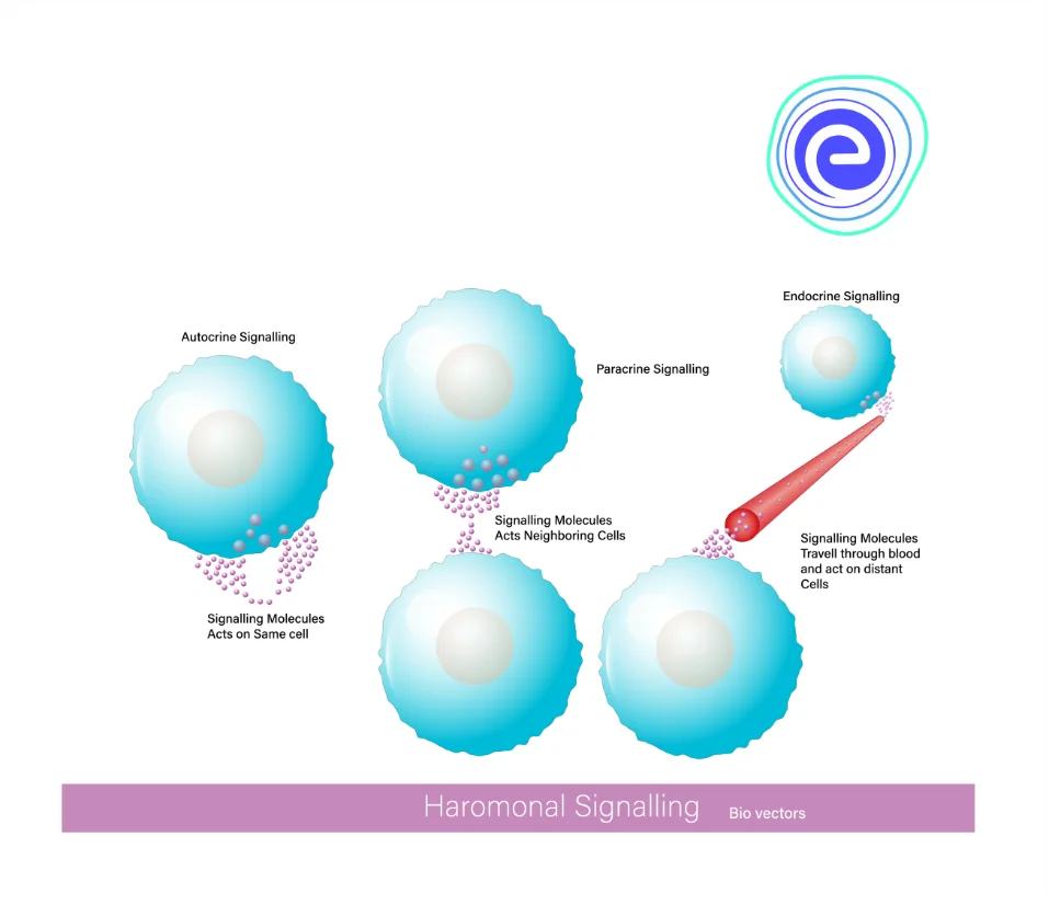 Cell Signaling