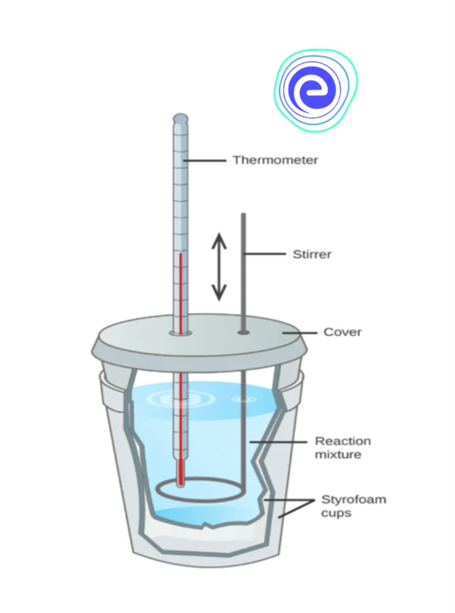 Coffee cup calorimeter