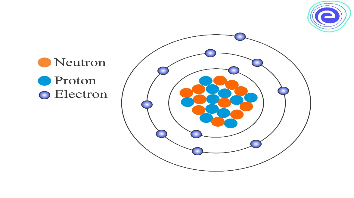 Composition of the Nucleus