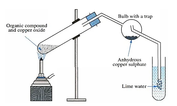 Detection of Carbon and Hydrogen