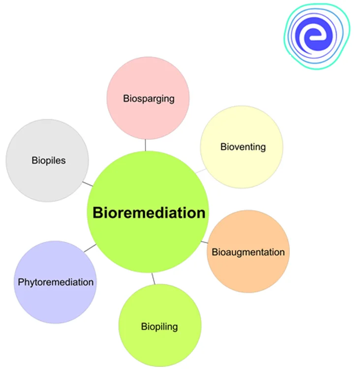 Different types of Bioremediation