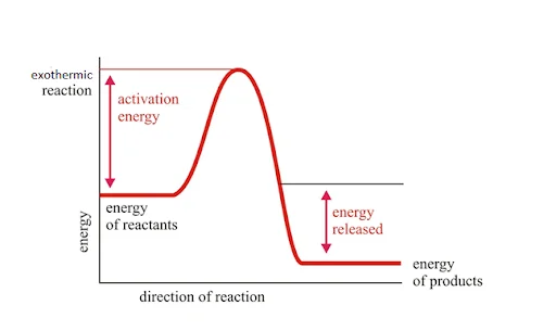 Exothermic Reactions