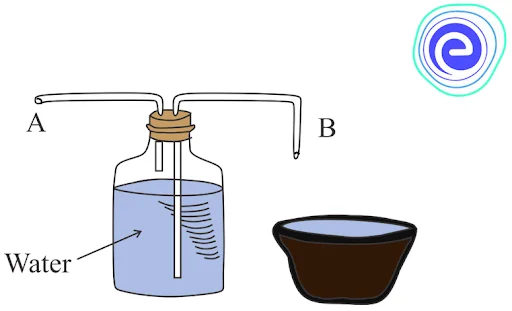 Experiment to measure the volume of expired air