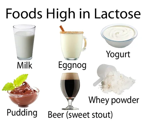 Foods High in Lactose