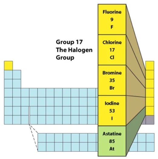 Group 17 Elements