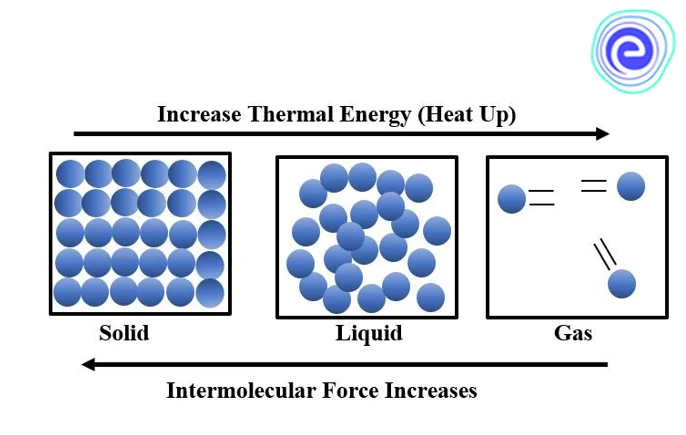 Intermolecular Forces Versus Thermal Energy