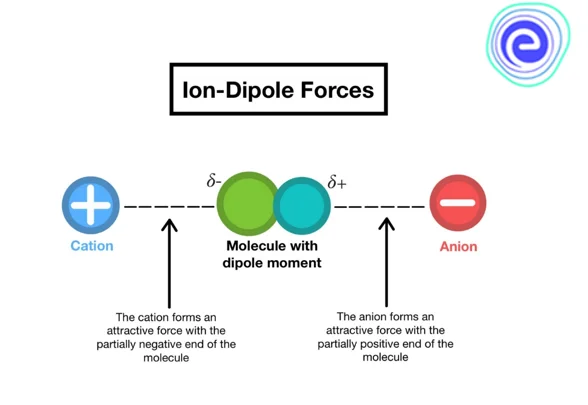 Ion-Dipole Forces