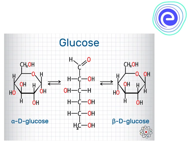 Isomers of Glucose