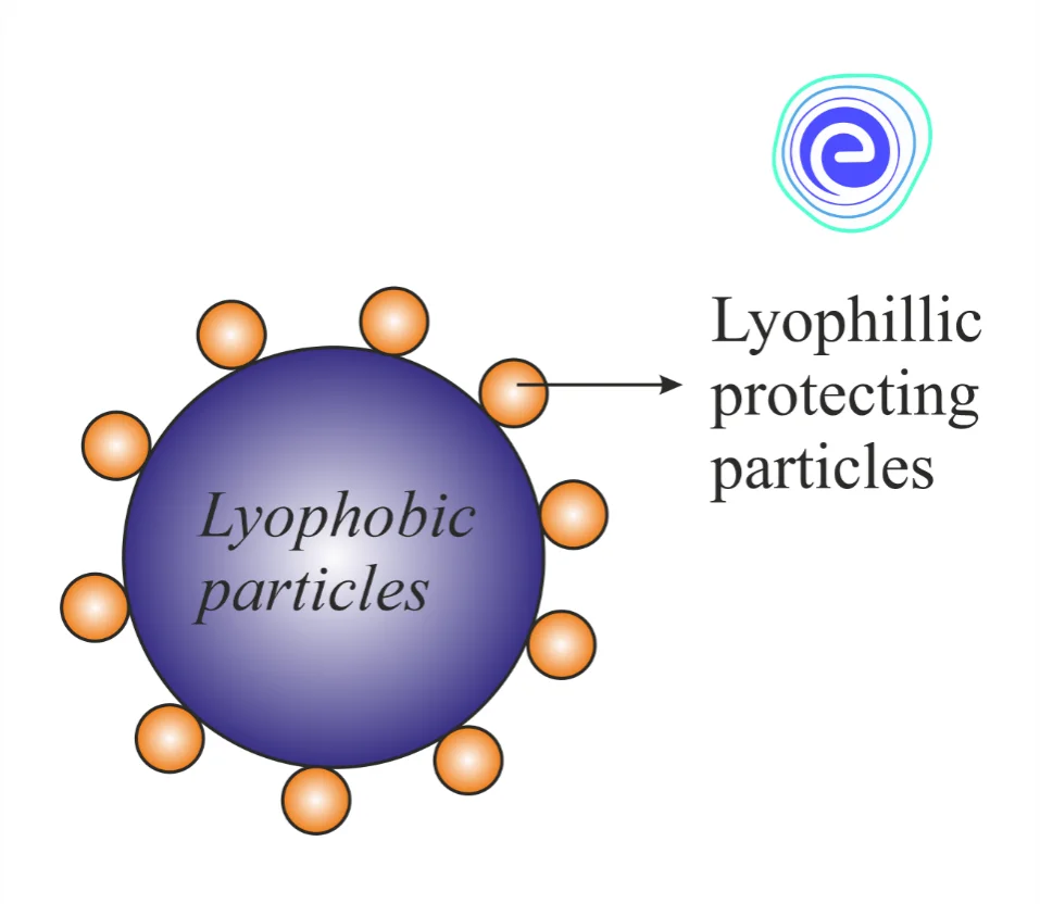 Mechanism of Protection of Lyophobic Sols