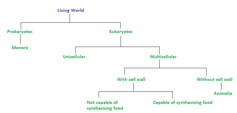 Overview of Classification of Organisms