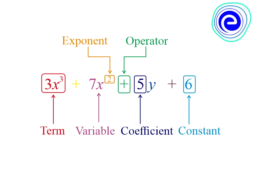 Polynomial