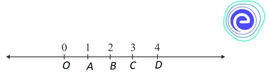 Representation of Whole Numbers on Number Line