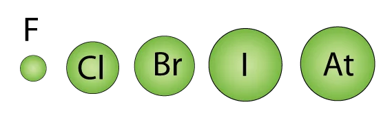 The Group 17 Elements