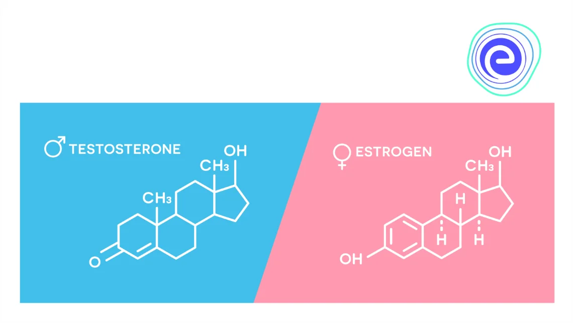 Types of Hormones