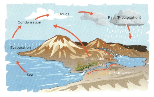 Water Cycle