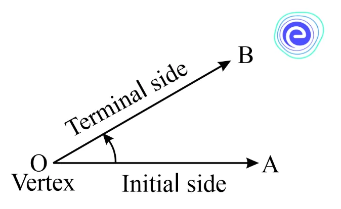 What are the Parts of an Angle