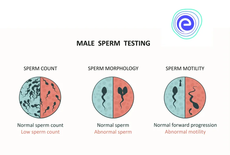 Defective Sperm